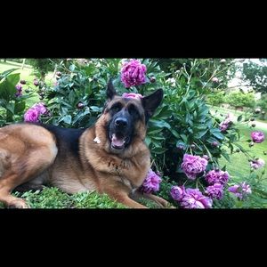 Meet your Posher, Mia